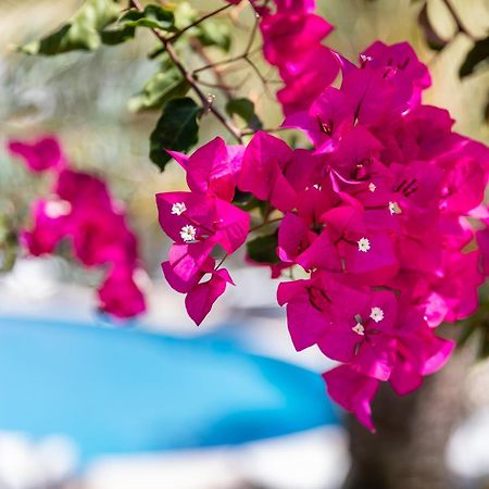 Vila Balaia - Luxury Boutique Villas البوفيرا المظهر الخارجي الصورة